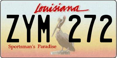 LA license plate ZYM272
