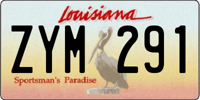 LA license plate ZYM291