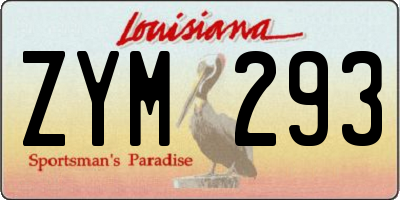 LA license plate ZYM293