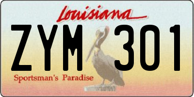 LA license plate ZYM301