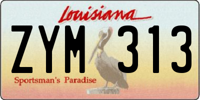 LA license plate ZYM313
