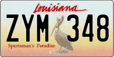 LA license plate ZYM348