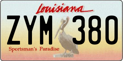 LA license plate ZYM380