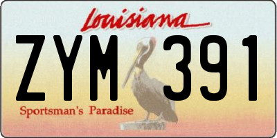 LA license plate ZYM391