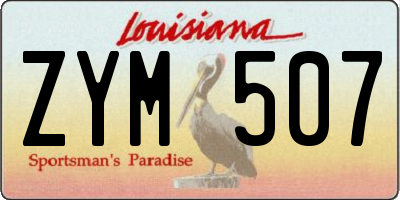 LA license plate ZYM507