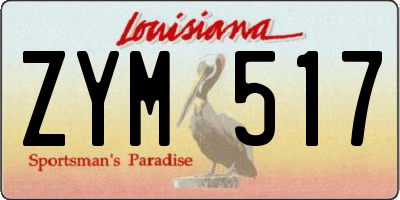 LA license plate ZYM517