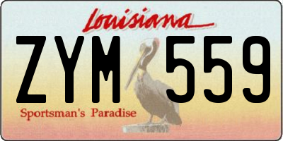 LA license plate ZYM559