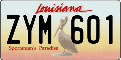 LA license plate ZYM601