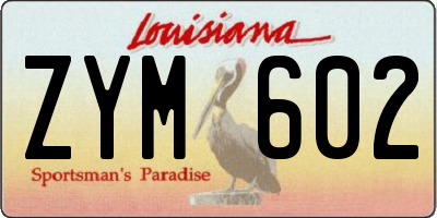 LA license plate ZYM602