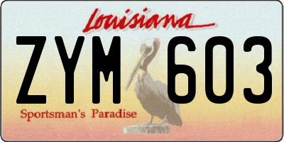 LA license plate ZYM603