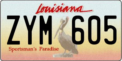 LA license plate ZYM605