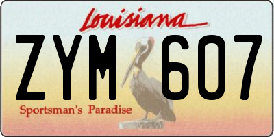 LA license plate ZYM607