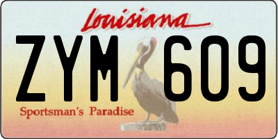 LA license plate ZYM609