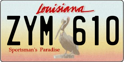 LA license plate ZYM610