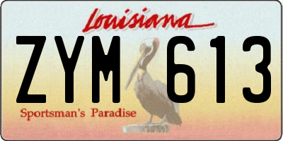 LA license plate ZYM613