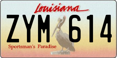 LA license plate ZYM614