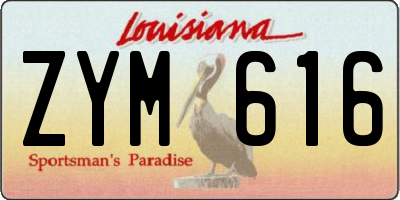 LA license plate ZYM616