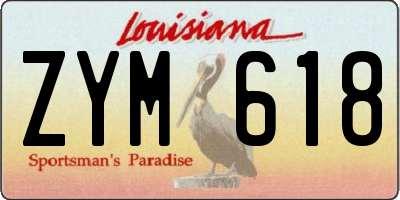 LA license plate ZYM618