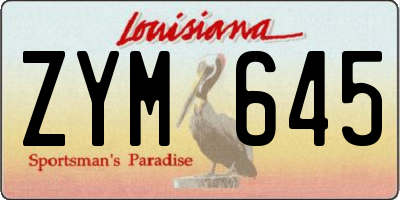 LA license plate ZYM645