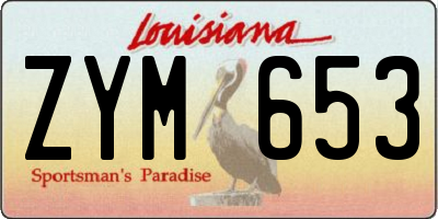 LA license plate ZYM653