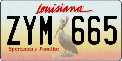 LA license plate ZYM665