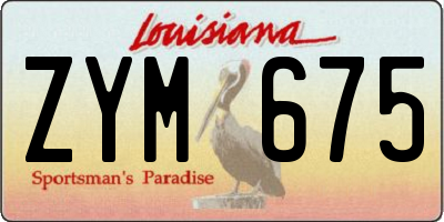 LA license plate ZYM675