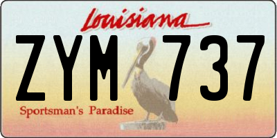 LA license plate ZYM737