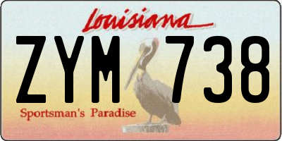 LA license plate ZYM738