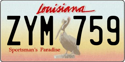 LA license plate ZYM759