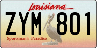 LA license plate ZYM801