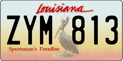 LA license plate ZYM813