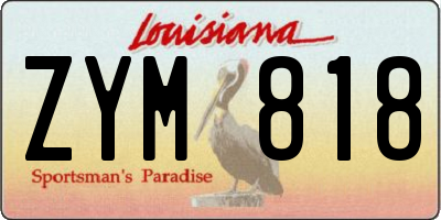 LA license plate ZYM818