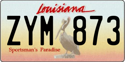 LA license plate ZYM873