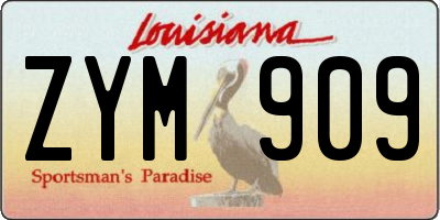 LA license plate ZYM909