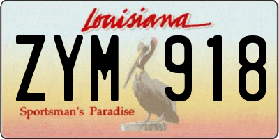 LA license plate ZYM918