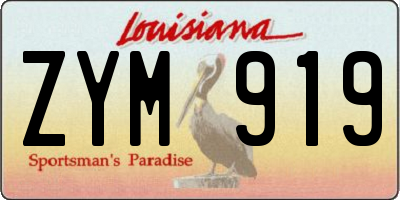 LA license plate ZYM919