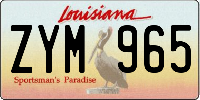 LA license plate ZYM965