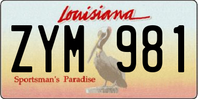 LA license plate ZYM981