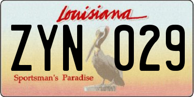 LA license plate ZYN029