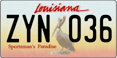 LA license plate ZYN036