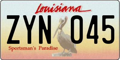 LA license plate ZYN045