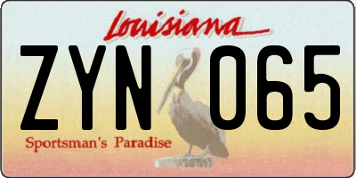 LA license plate ZYN065