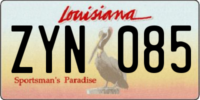 LA license plate ZYN085