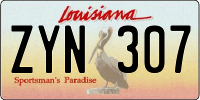 LA license plate ZYN307