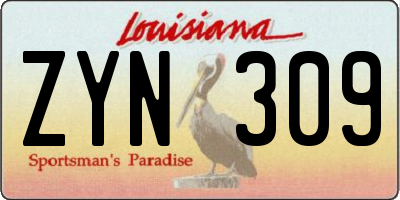 LA license plate ZYN309