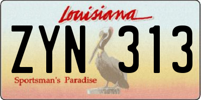 LA license plate ZYN313
