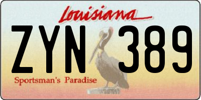 LA license plate ZYN389