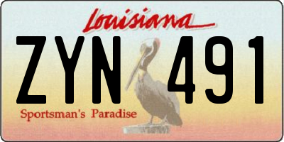 LA license plate ZYN491