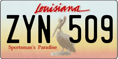 LA license plate ZYN509