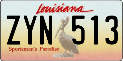 LA license plate ZYN513